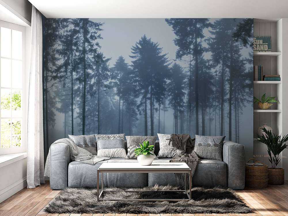The foggy landscape