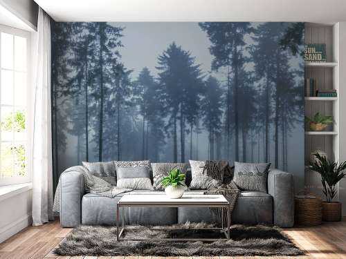 The foggy landscape
