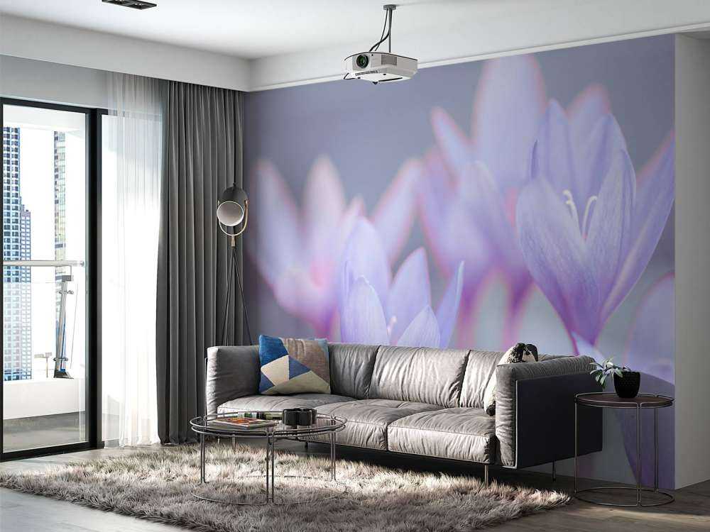 Crocus