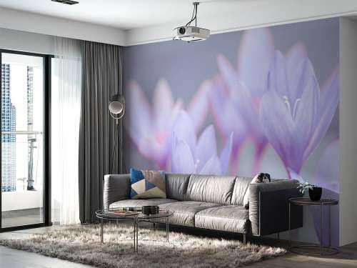 Crocus