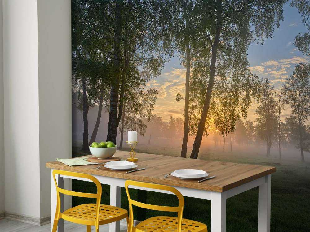 Sunrise by the birches