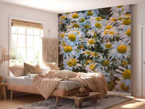 Vintage Daisies
