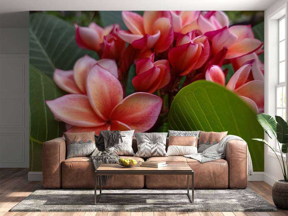 Tropical Flowers