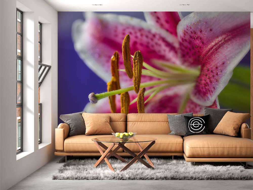 Close-up pink flower