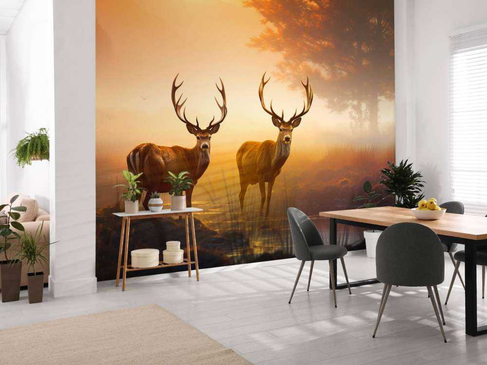 Morning Glory Deer Splendor