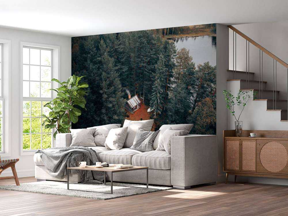 Cabin surrounded by forest and lakes