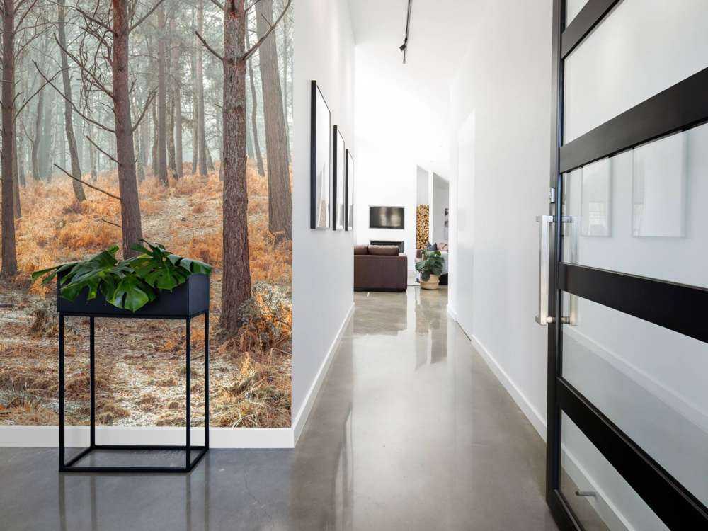 Forest during autumn