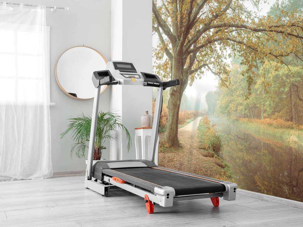 Lake in autumn forest