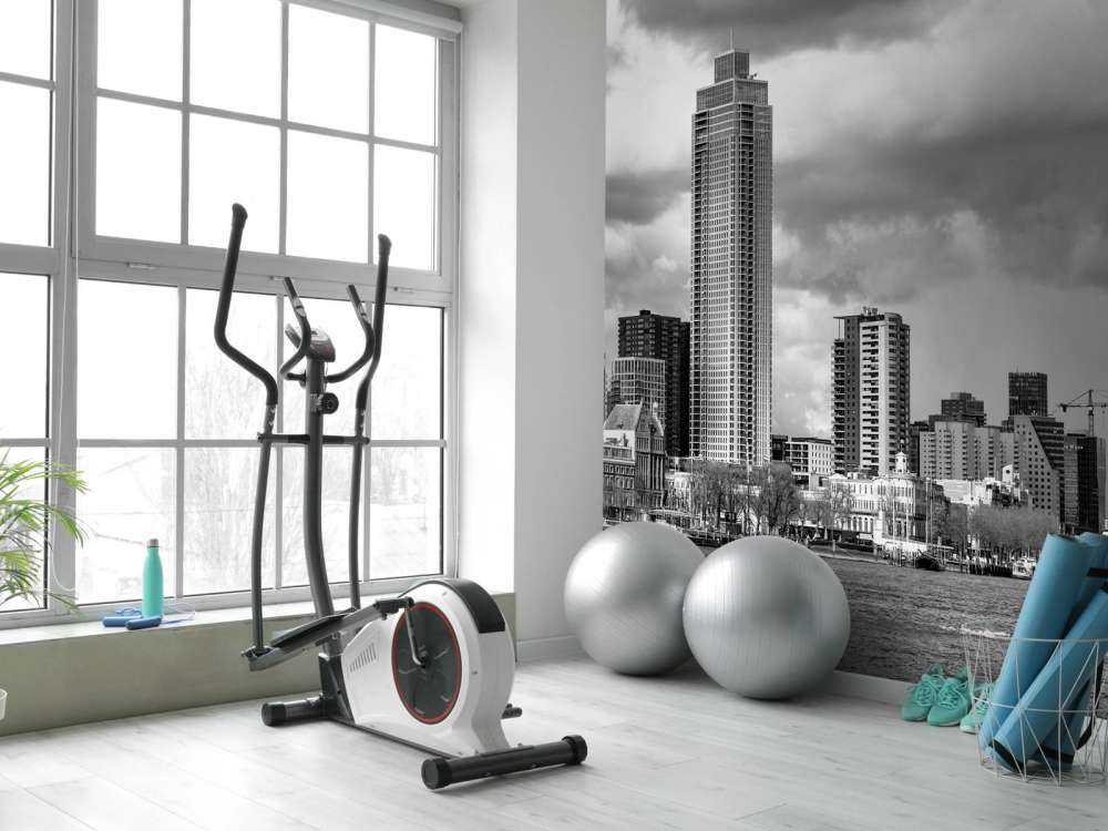 Skyline Rotterdam (Westerkade) from Katendrecht (black and white) 