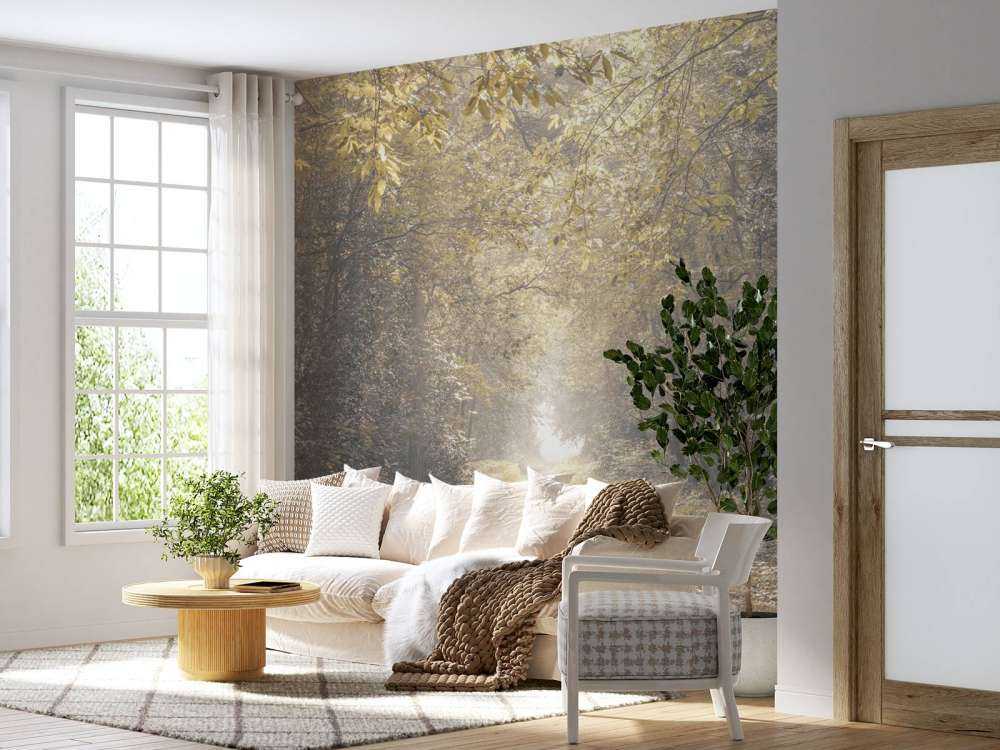 Path through a deserted forest