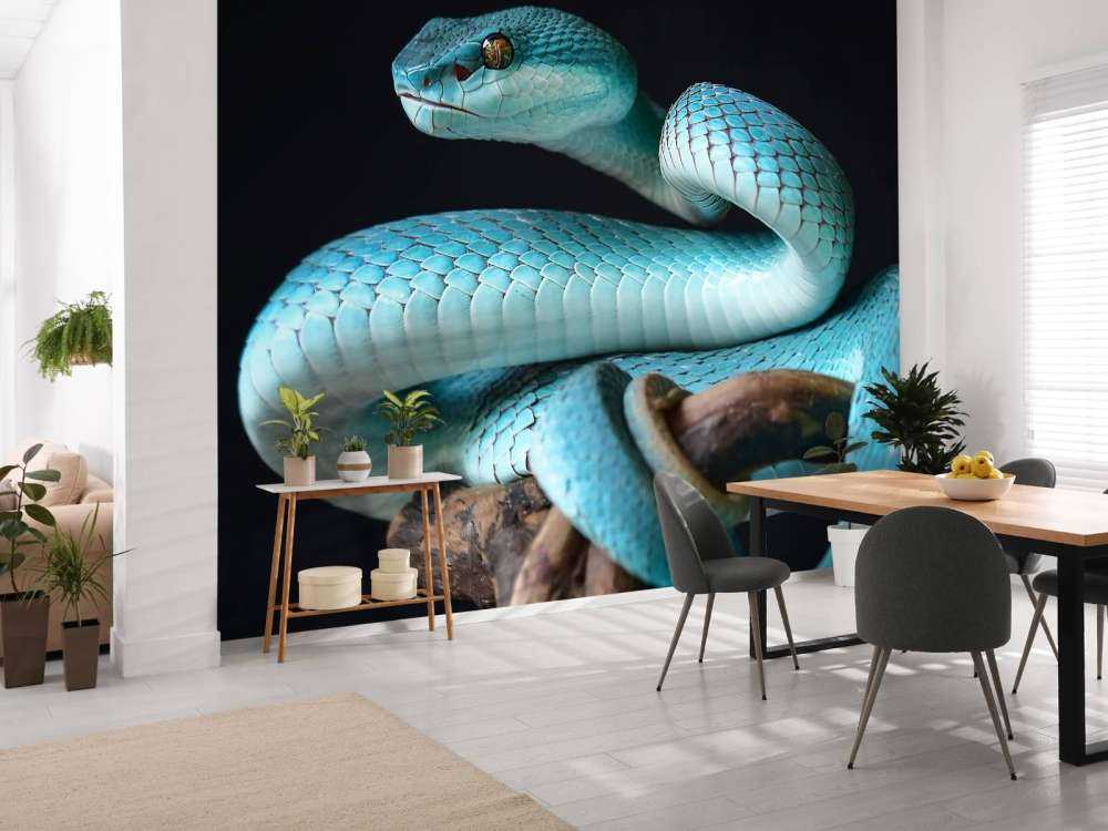 Blue Insular Snake