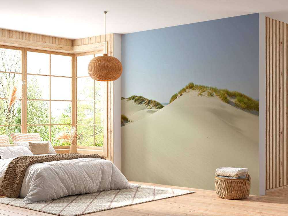 Dunes on the beach