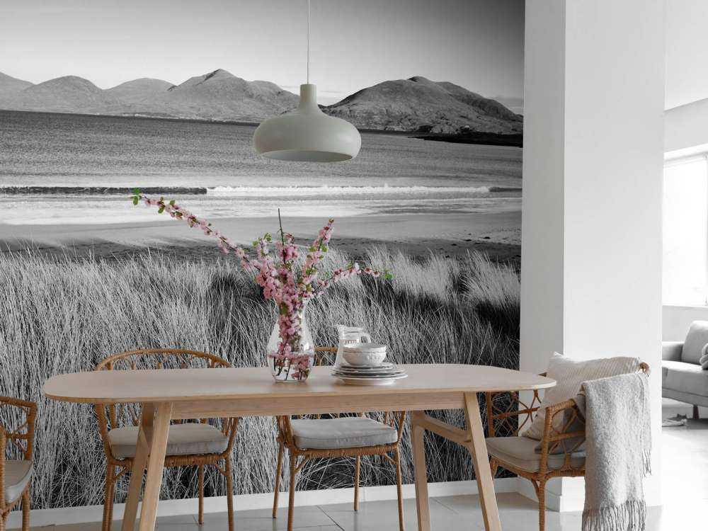 Marram grass, beach and mountains