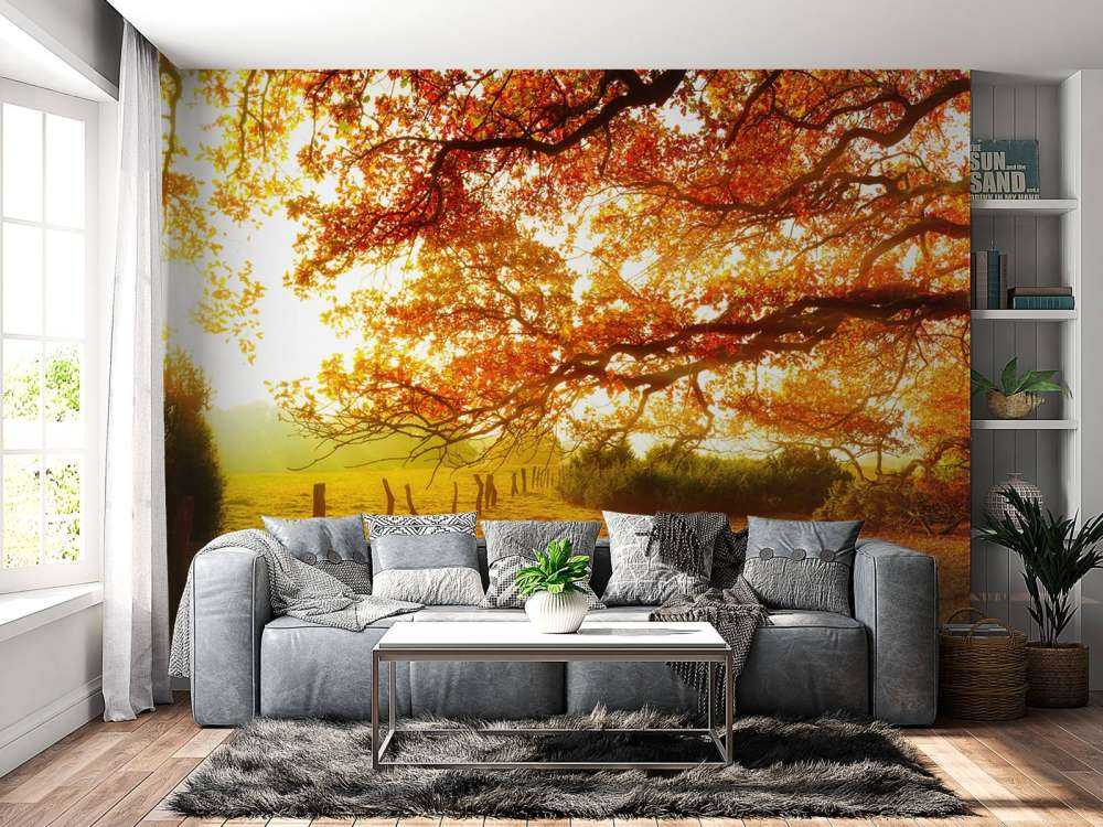 Autumn landscape with forest and meadow