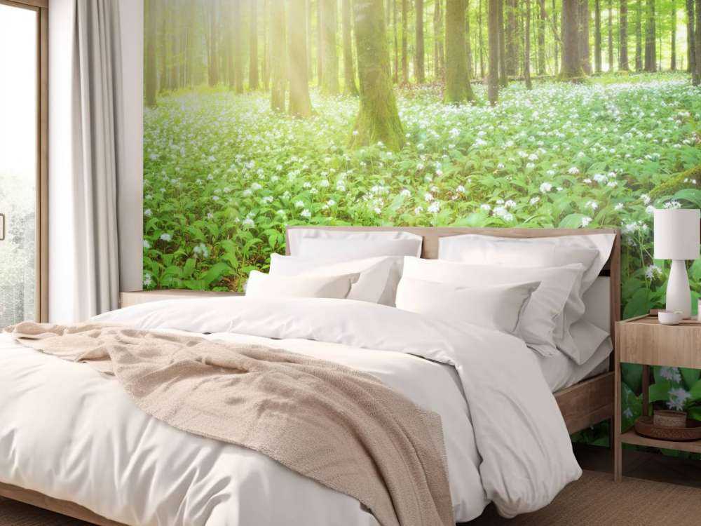 Wild forest at sunrise