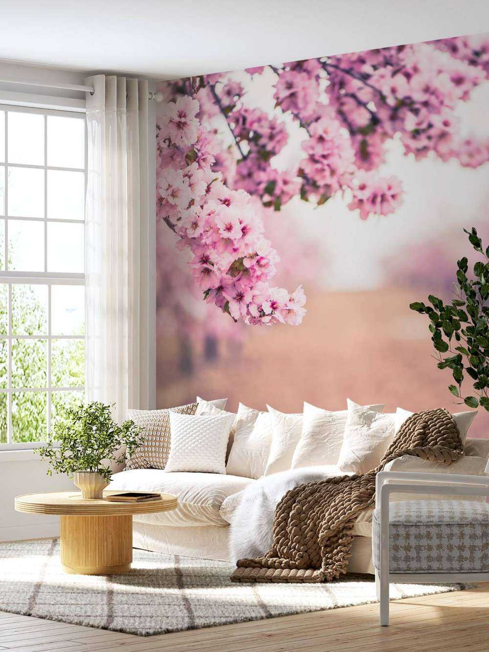 Purple Japanese blossoms