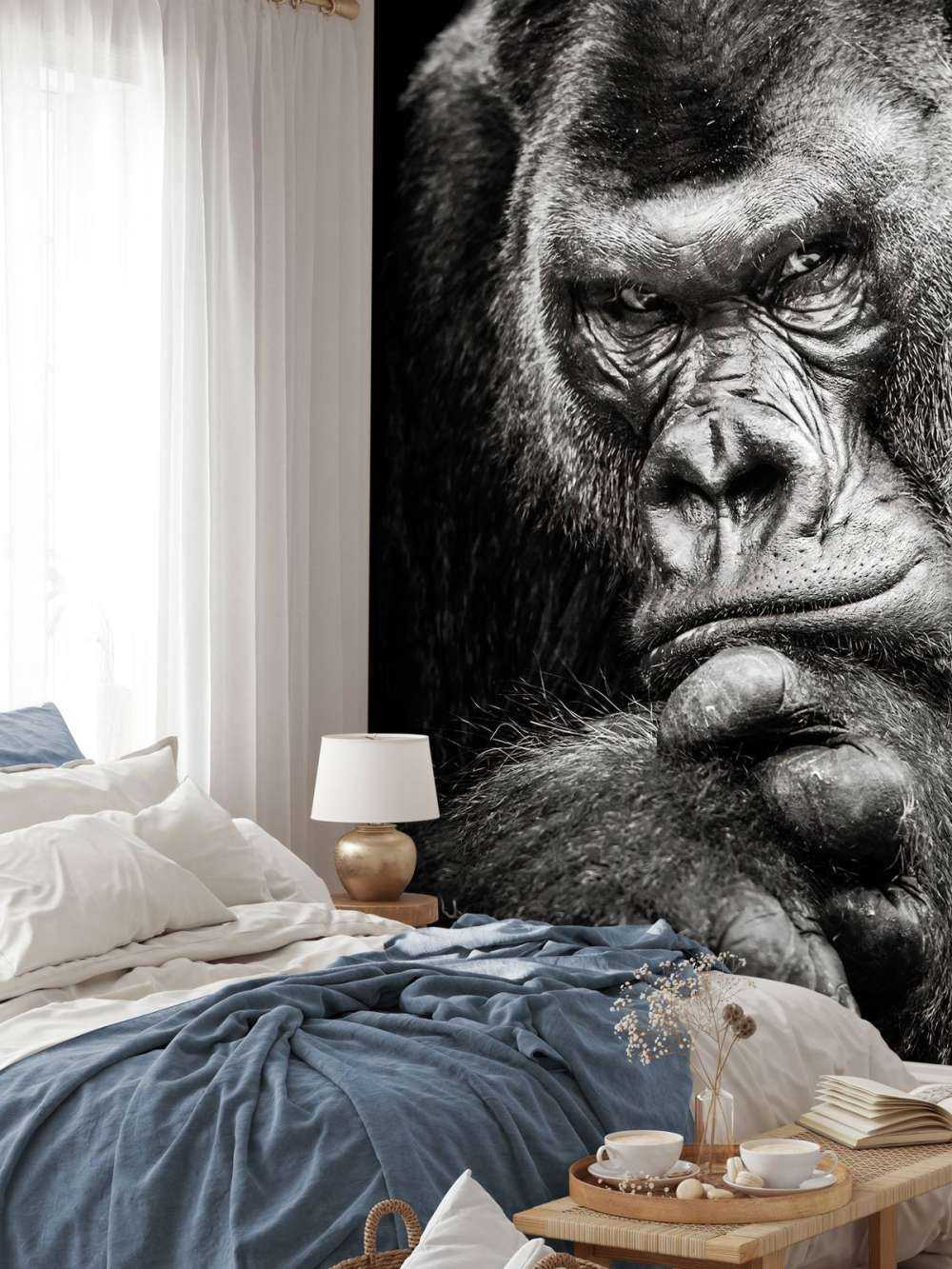 Close-up picture of a gorilla