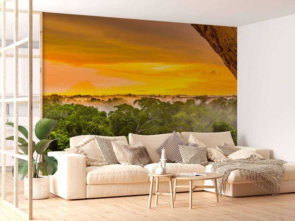 Rainforest in Brazil 