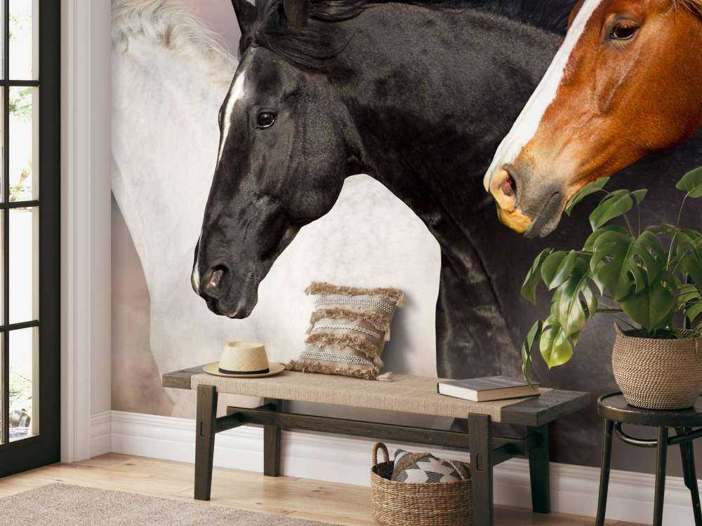 Herd of horses