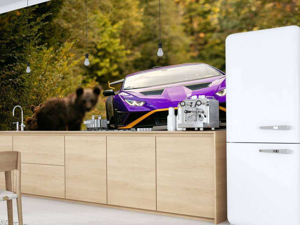 Lamborghini vs. wilderness