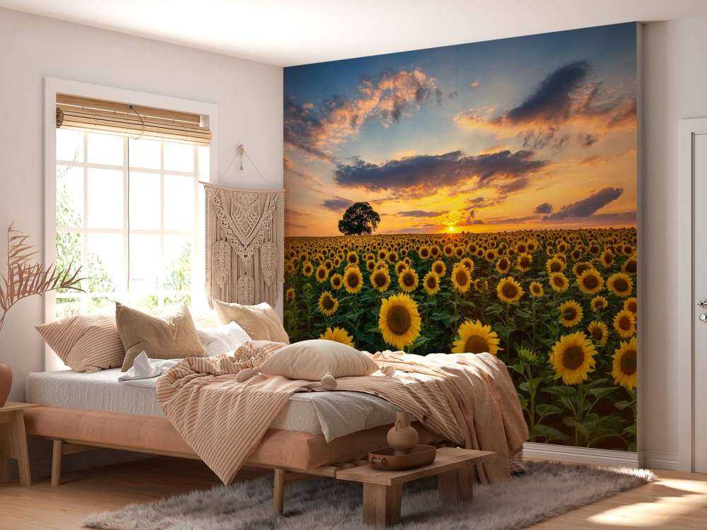 Field full of sunflowers