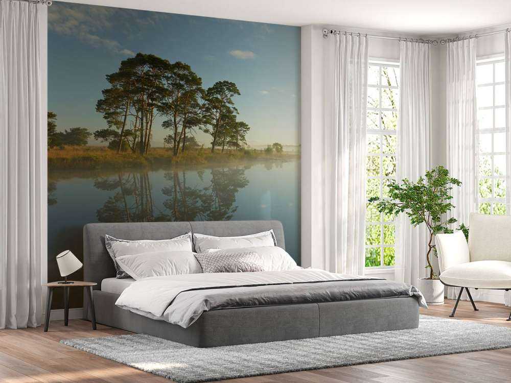 Reflection in moorland