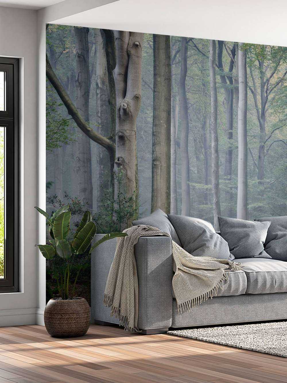 Path through the forest