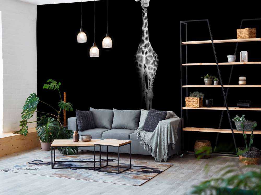 Giraffe black and white