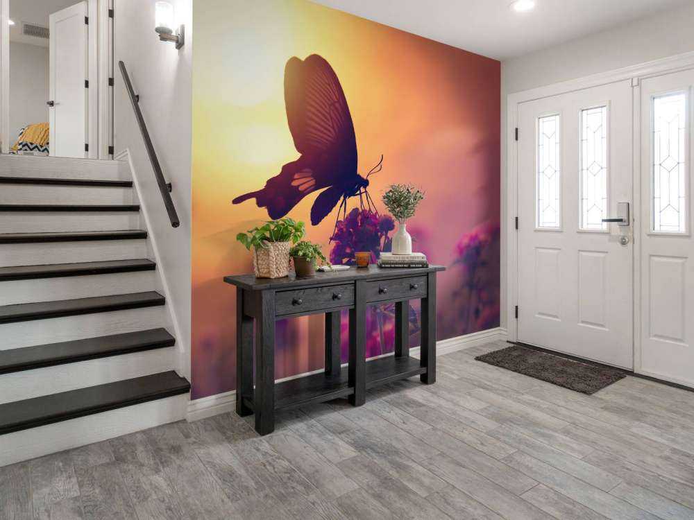 Butterfly with sunset