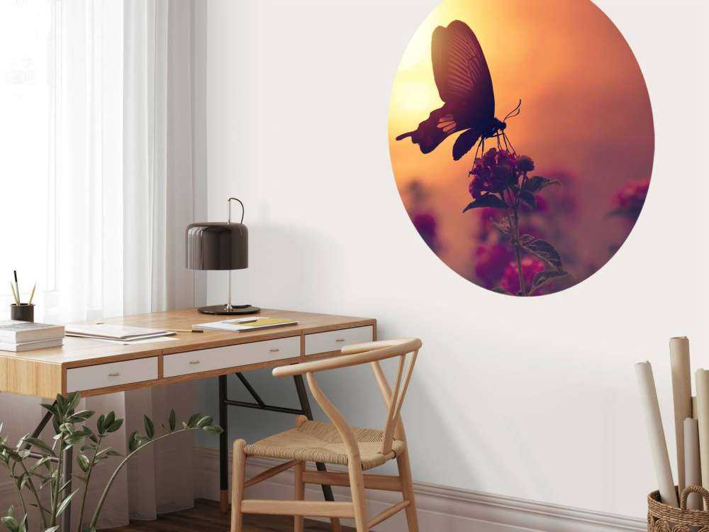 Butterfly with sunset