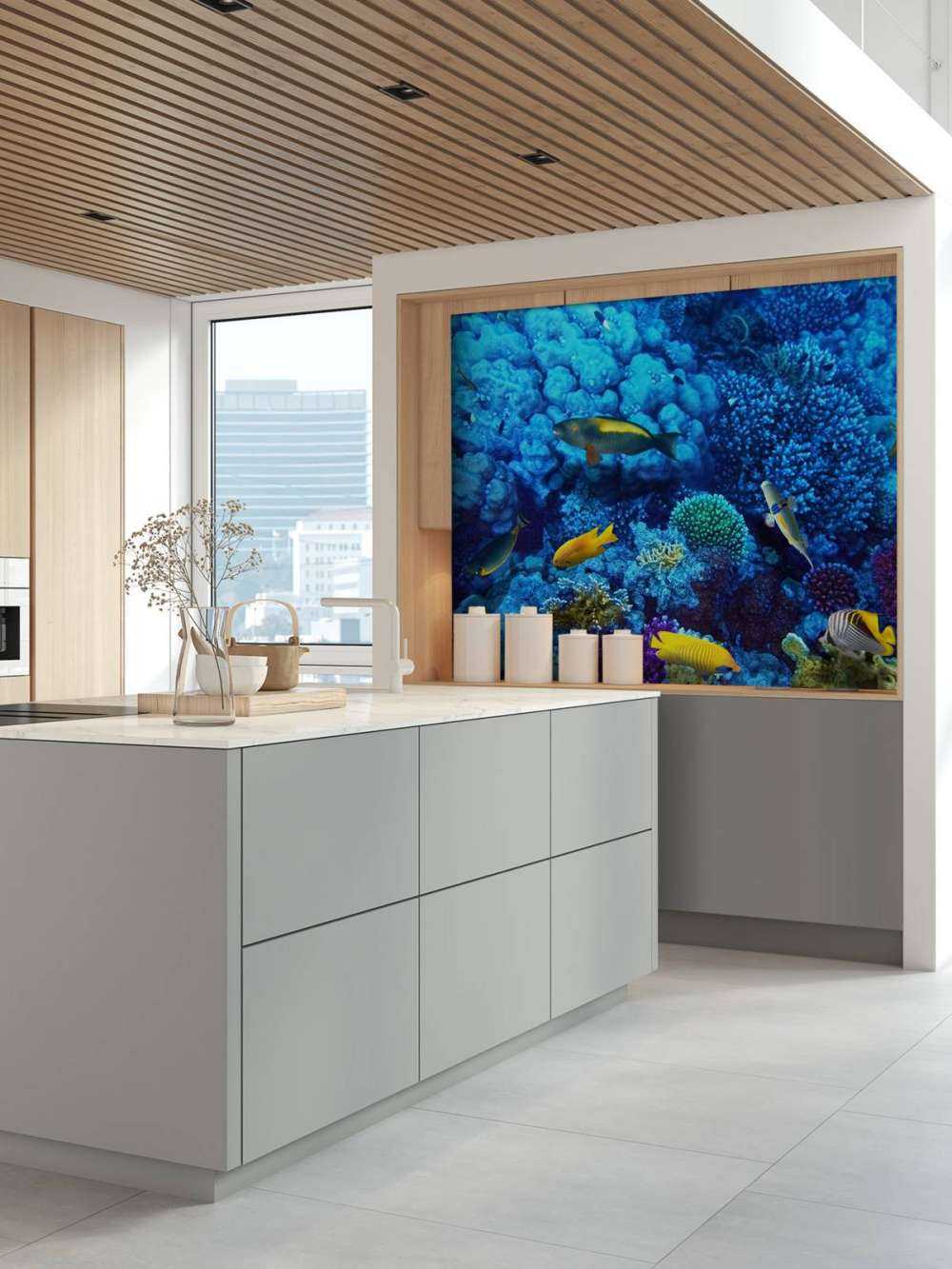 Fish and coral