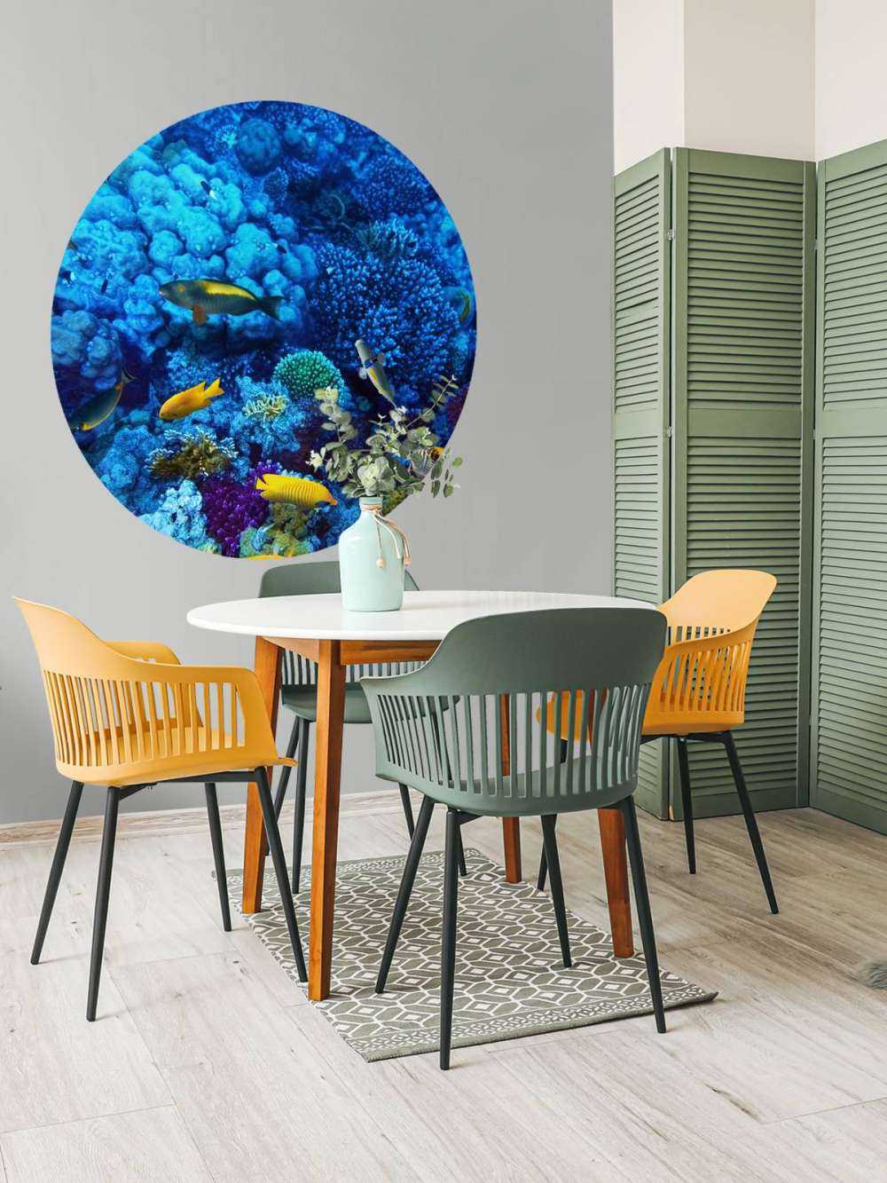 Fish and coral