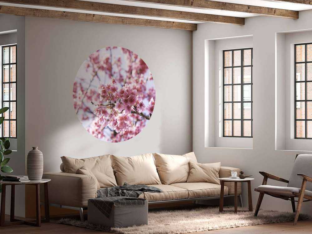 Close-up pink blossom