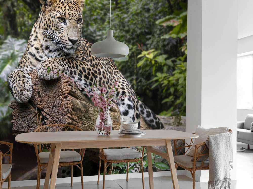 Leopard on tree