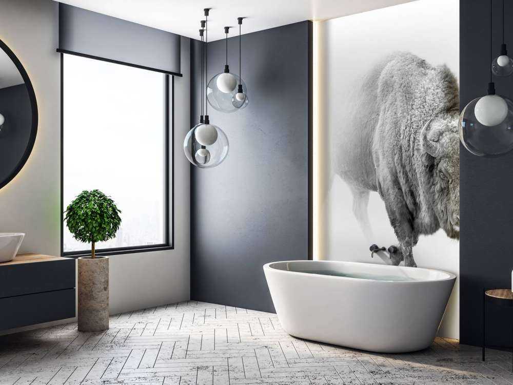 Bison black, white