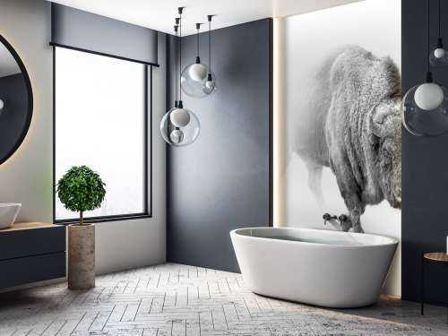 Bison black, white