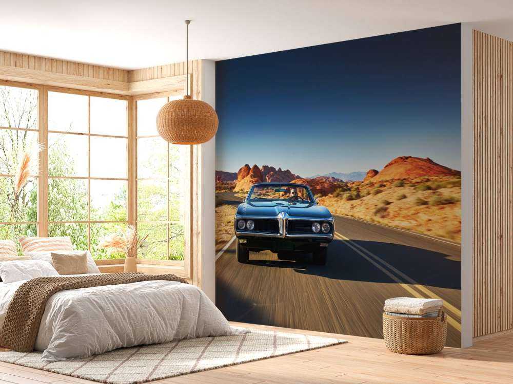 Muscle car in an American landscape