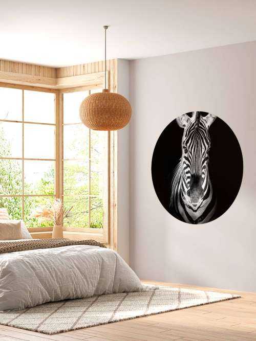 Close-up zebra black and white