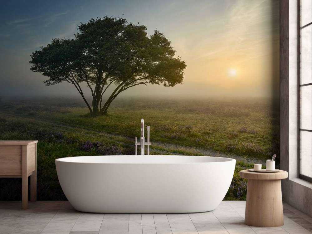 Sunrise on the heath