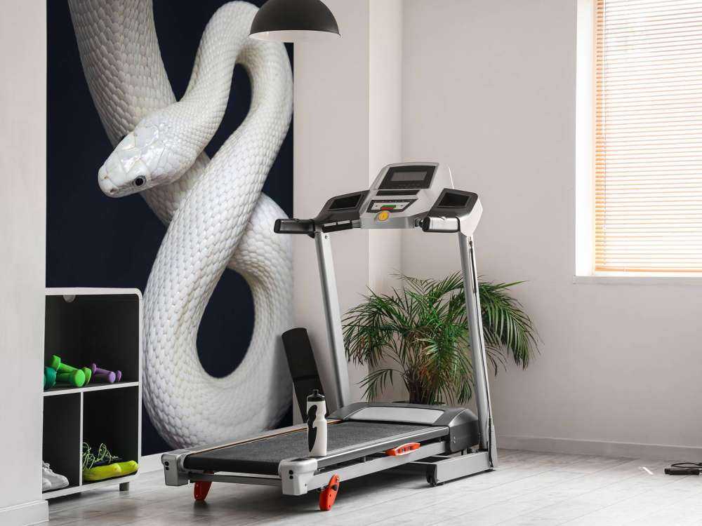 Texas ratsnake