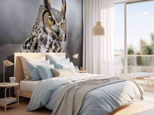 Brown feathered owl