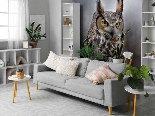 Brown feathered owl