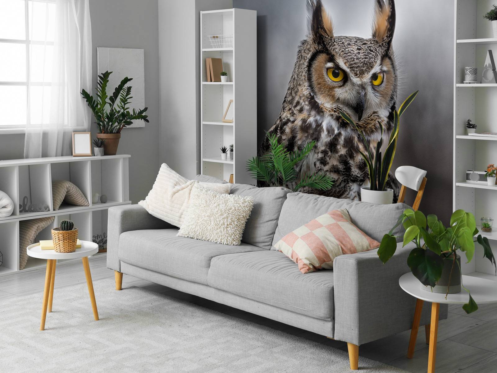 Brown feathered owl