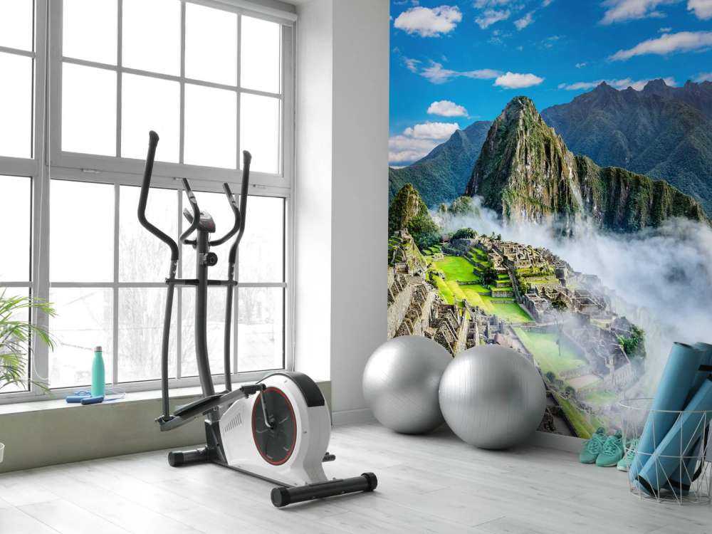 Machu Picchu in the fog