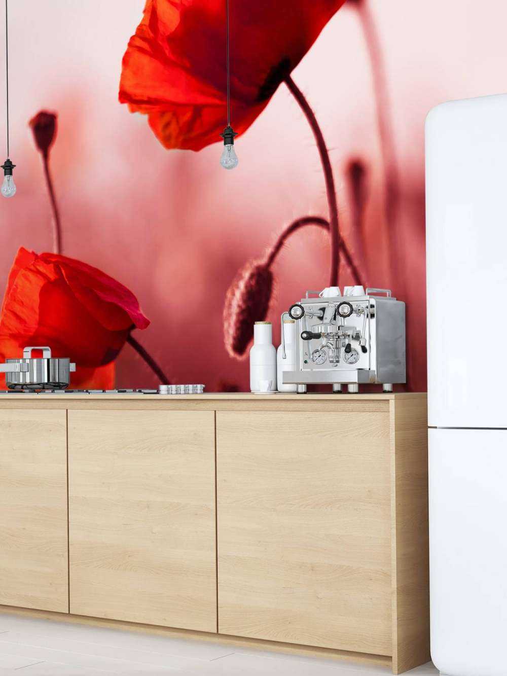 Poppies in the meadow