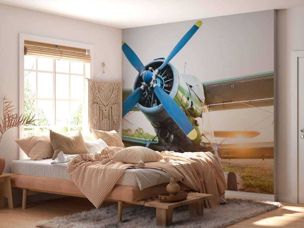 Small single-engine private plane