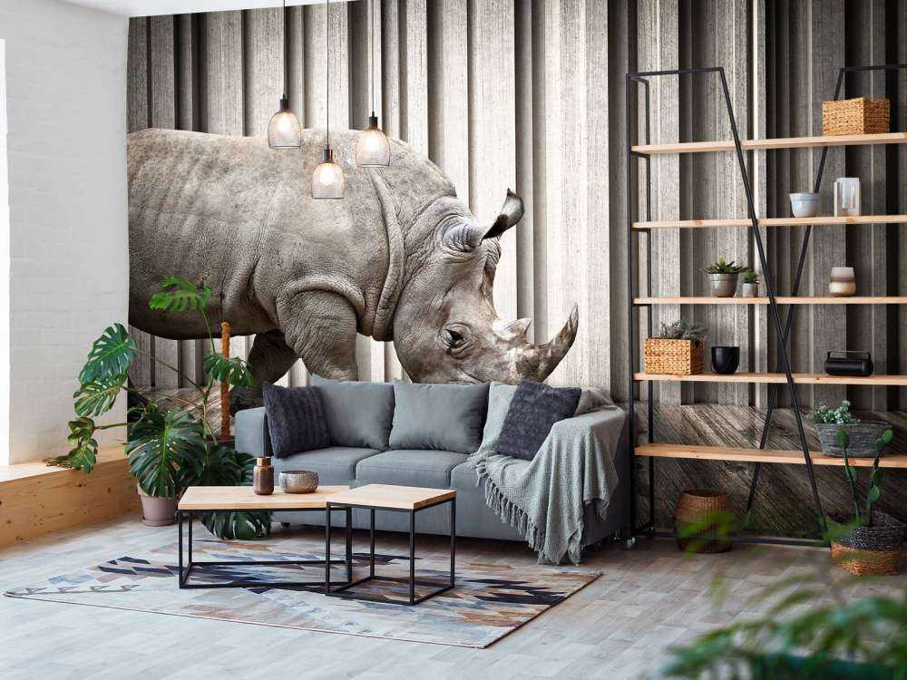 Rhinoceros in hall