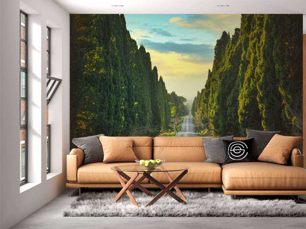 Road with tall trees