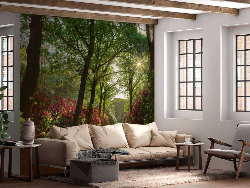 Sunrise at path with rhododendrons