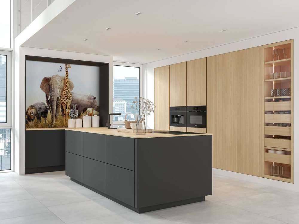 Animals in the savannah